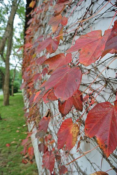 Pic Pimg Tw Hsuehci314 1324826346 4187650817 N Jpg