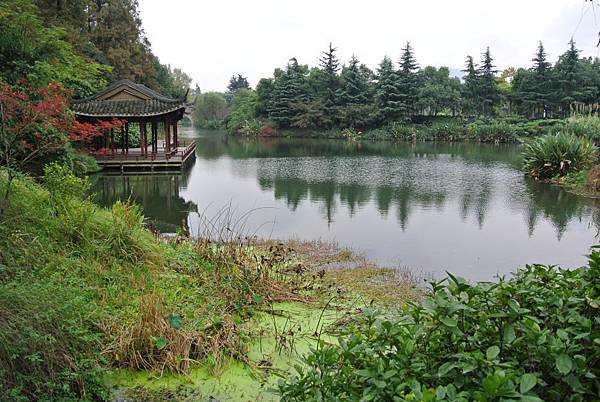 杭州自由行-Day3