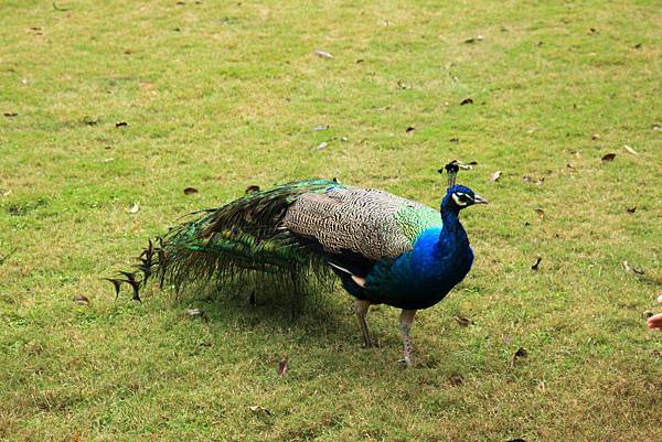 杭州自助行day2 Pic Pimg Tw Hsuehci314 1326642731 766544882 N Jpg