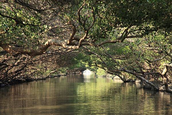 201104台南三日親子遊-四草+古蹟+天梯 Pic Pimg Tw Hsuehci314 1326726993 3941924161 N Jpg