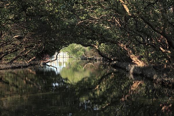 201104台南三日親子遊-四草+古蹟+天梯 Pic Pimg Tw Hsuehci314 1326726997 1189897312 N Jpg