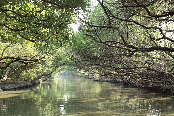 201104台南三日親子遊-四草+古蹟+天梯 Pic Pimg Tw Hsuehci314 1326727001 4089417586 N Jpg