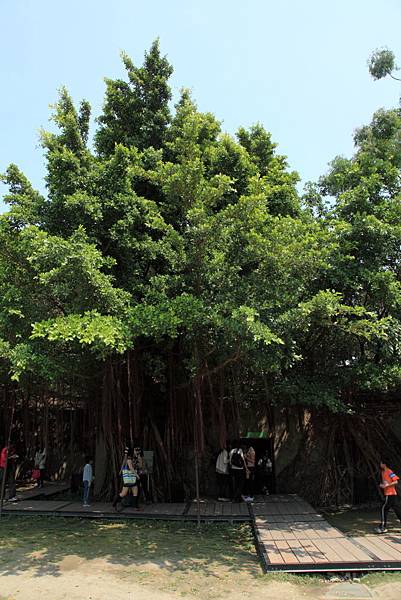 201104台南三日親子遊-四草+古蹟+天梯 Pic Pimg Tw Hsuehci314 1326727029 303532676 N Jpg