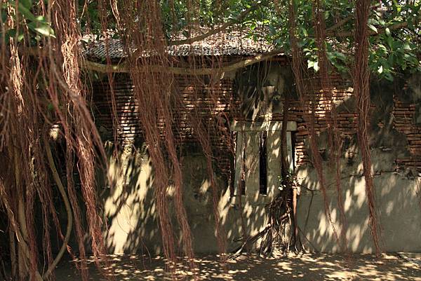 201104台南三日親子遊-四草+古蹟+天梯 Pic Pimg Tw Hsuehci314 1326727033 2766033359 N Jpg