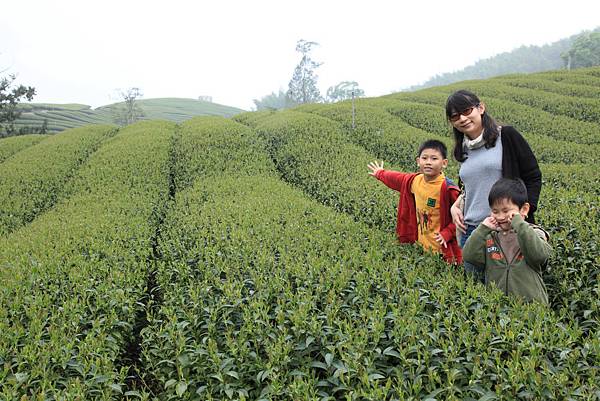 201104台南三日親子遊-四草+古蹟+天梯 Pic Pimg Tw Hsuehci314 1326727095 1416591212 N Jpg