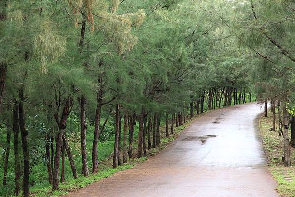 20120120 台東四天三夜 Pic Pimg Tw Hsuehci314 1327497354 134008802 N Jpg