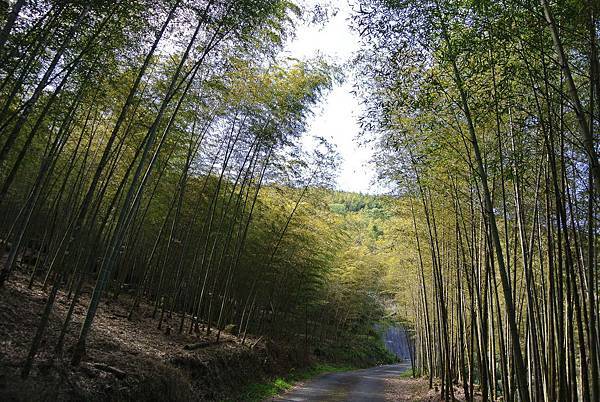 20120204南投輕旅行-民宿:天空的院子,杉林溪之旅 Pic Pimg Tw Hsuehci314 1328458837 3015580597 N Jpg