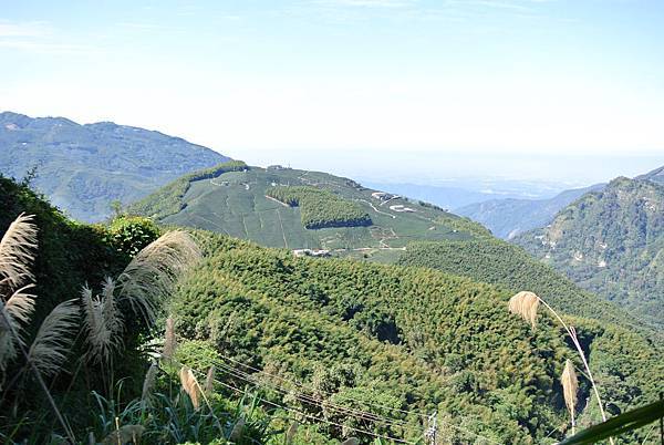 20120204南投輕旅行-民宿:天空的院子,杉林溪之旅 Pic Pimg Tw Hsuehci314 1328458842 705846463 N Jpg