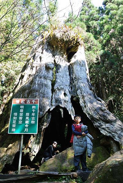 20120204南投輕旅行-民宿:天空的院子,杉林溪之旅 Pic Pimg Tw Hsuehci314 1328458945 2862235191 N Jpg