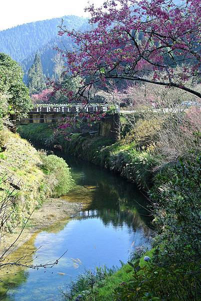 20120204南投輕旅行-民宿:天空的院子,杉林溪之旅 Pic Pimg Tw Hsuehci314 1328458958 3826776223 N Jpg