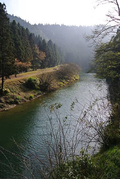20120204南投輕旅行-民宿:天空的院子,杉林溪之旅 Pic Pimg Tw Hsuehci314 1328458964 1187397667 N Jpg