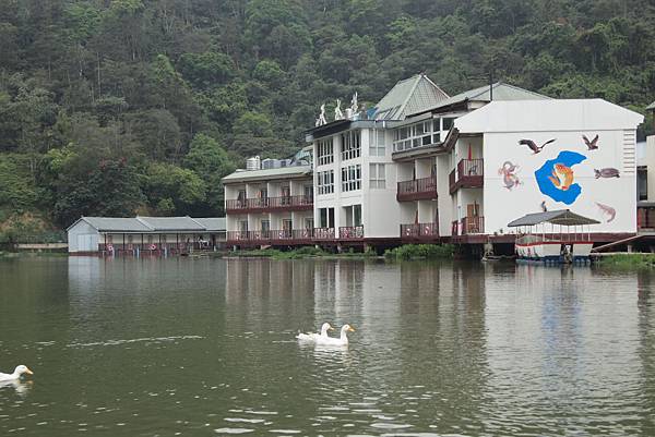 親子小旅行-桃米賞螢-牛耳木雕-木生博物館 Pic Pimg Tw Hsuehci314 1329146444 3093417435 N Jpg