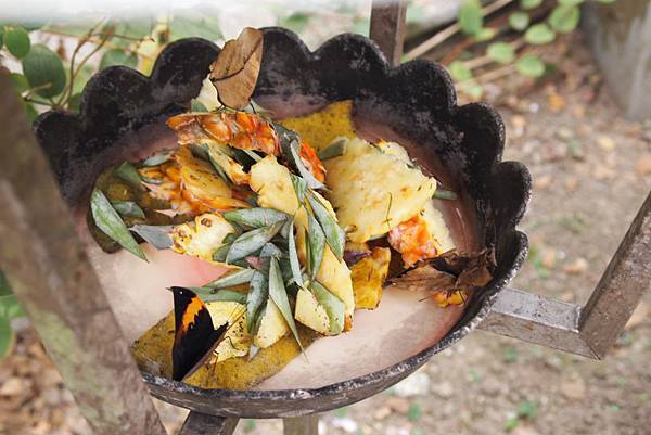 親子小旅行-桃米賞螢-牛耳木雕-木生博物館 Pic Pimg Tw Hsuehci314 1329146551 2575553068 N Jpg