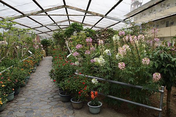 親子小旅行-桃米賞螢-牛耳木雕-木生博物館 Pic Pimg Tw Hsuehci314 1329146557 113460595 N Jpg