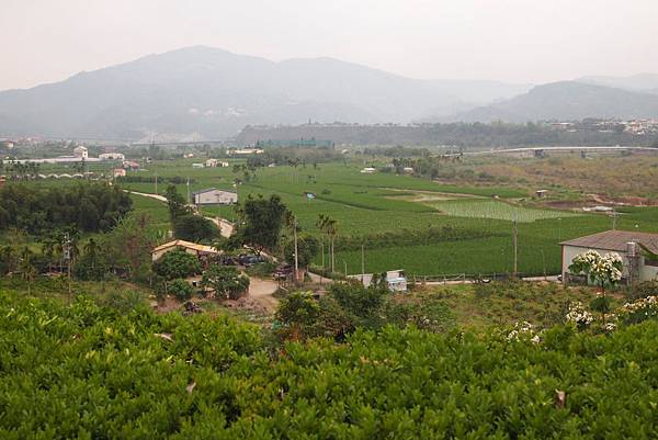 親子小旅行-桃米賞螢-牛耳木雕-木生博物館 Pic Pimg Tw Hsuehci314 1329146583 1719633704 N Jpg