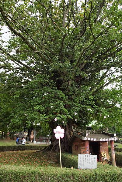 親子小旅行-桃米賞螢-牛耳木雕-木生博物館 Pic Pimg Tw Hsuehci314 1329146621 3215181192 N Jpg