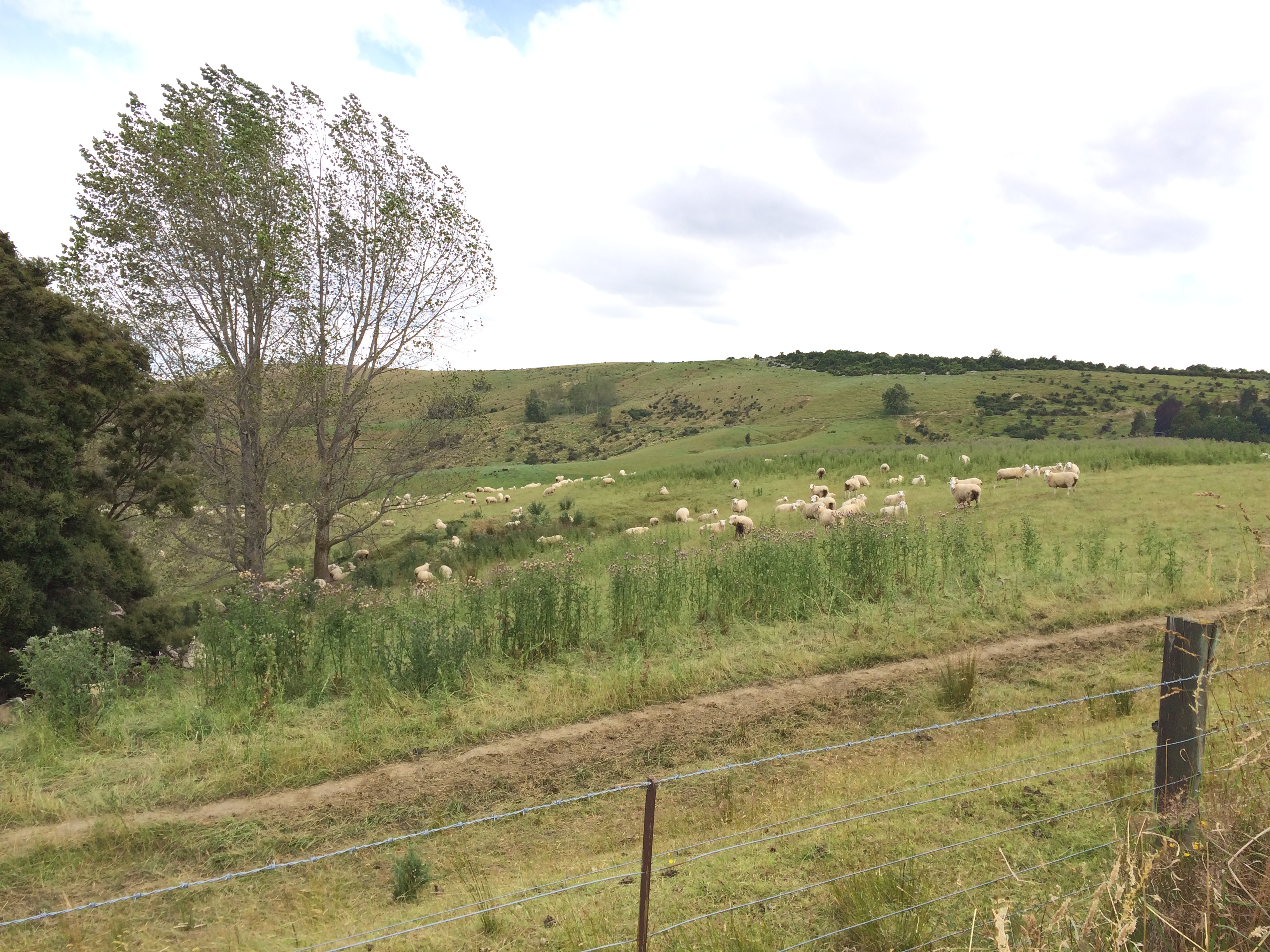 Www Evernote Com Shard S328 Sh 7288dcdc 0ce7 4cb2 855f 15fb2bdfa0de 7ae1ada17dd7c34949979d9511de55f4 Res 6065e018 0234 4a30 8189 E3f4b315e747