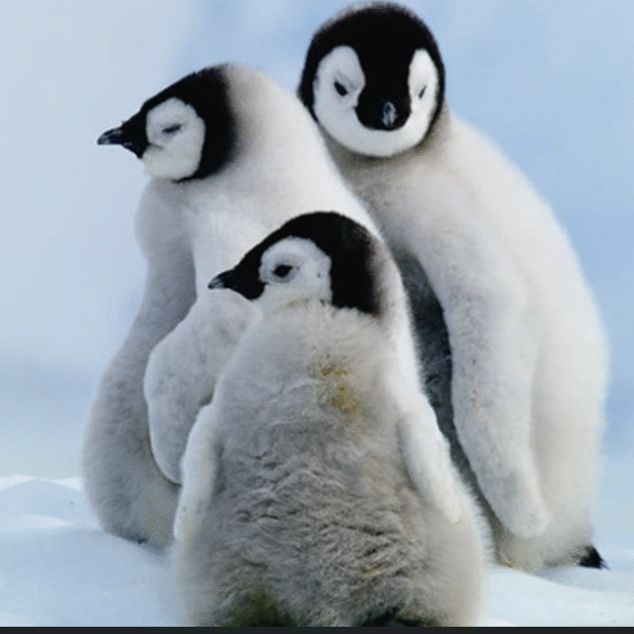 螢幕擷取畫面 2025 06 28 172304